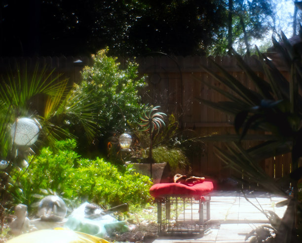 花园的长椅上图片下载