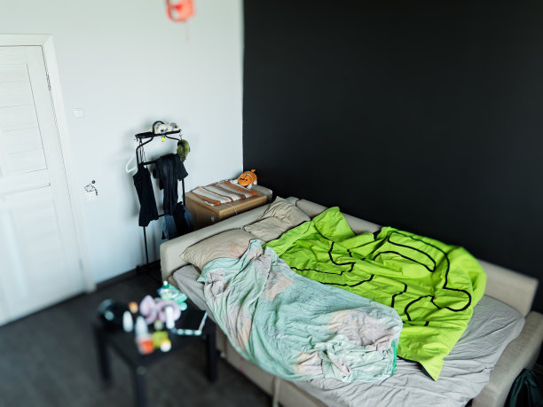 正宗家庭居室内饰图片下载