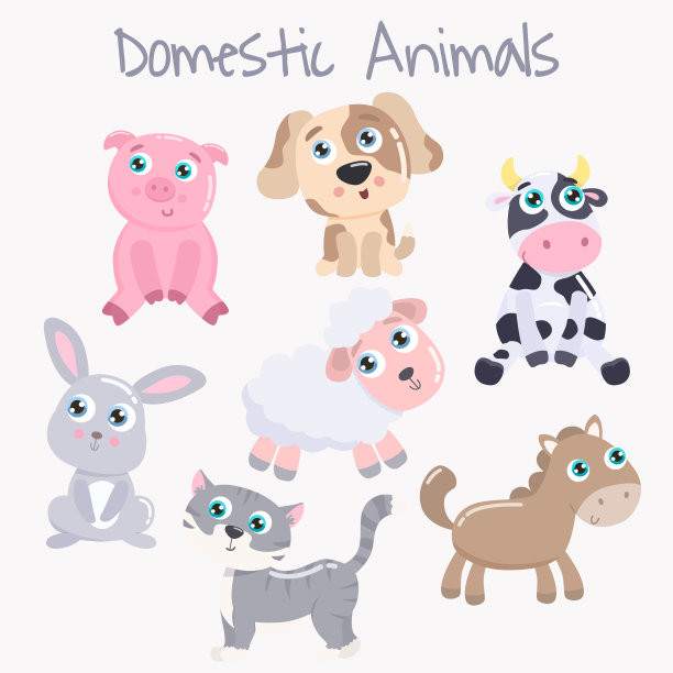 可爱的家养动物。图片下载