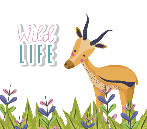 可爱的野生动物卡通图片下载