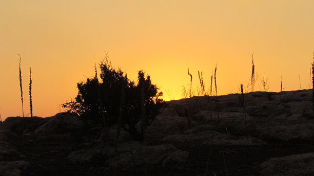 约旦伊尔比德山丘上的橙色日落图片下载