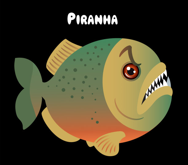 水虎鱼图片下载