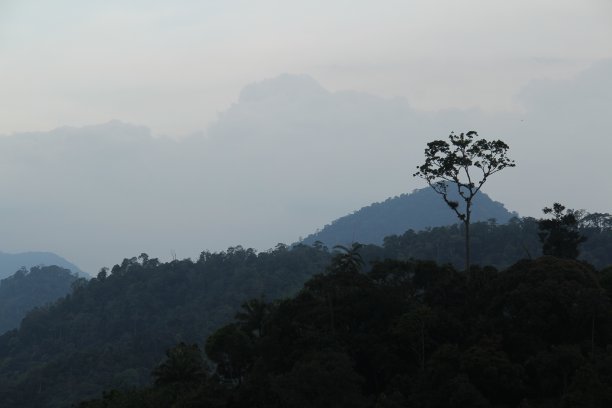 景观山景城图片下载