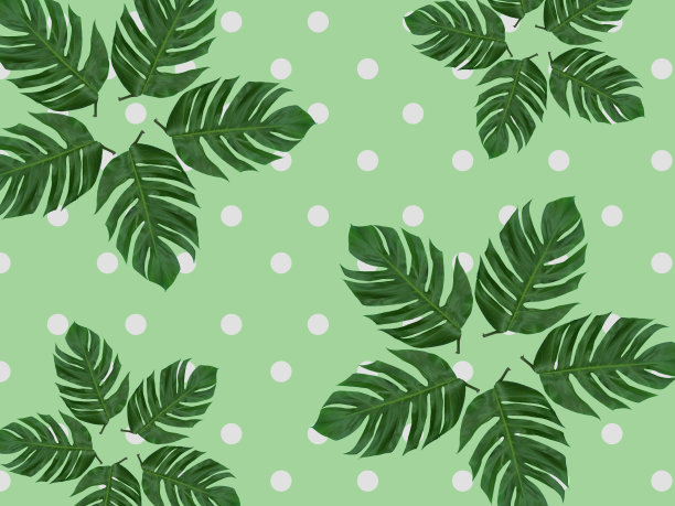 热带棕榈叶组图案-绿色背景-圆点花纹图片下载