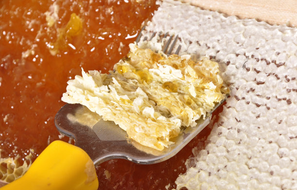 无盖蜂窝与无盖叉图片下载