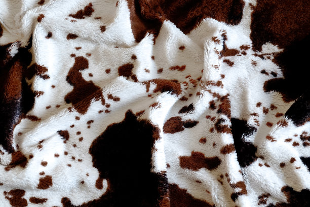 床上的毯子图片下载