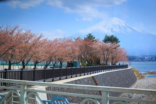 富士山和川口湖。图片下载