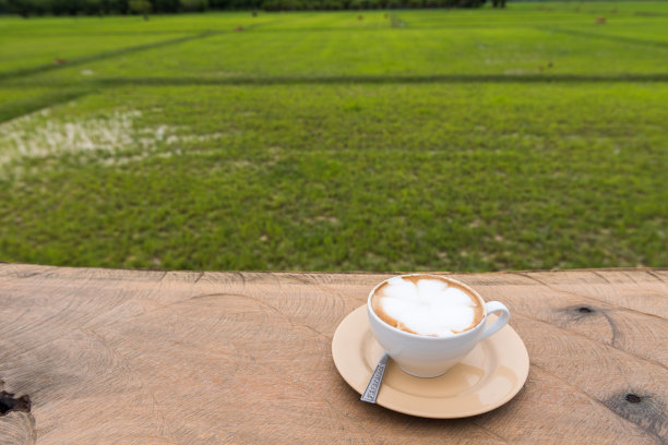 稻田旁边的木桌上放着一杯卡布奇诺咖啡图片下载