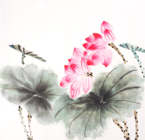 荷花手绘水墨，中国水彩画素材图片