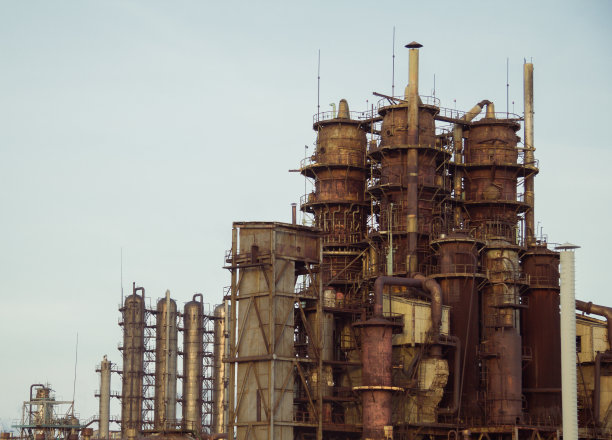 老石油植物图片下载