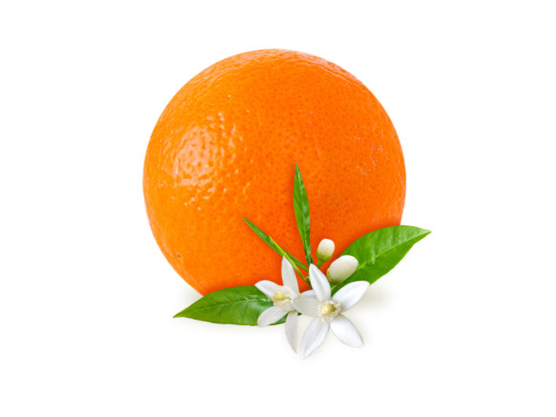 橙色的水果，花和叶子图片下载
