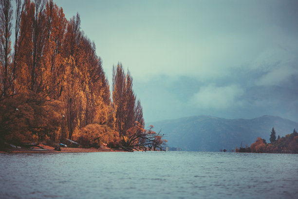 秋天的瓦纳卡湖，南岛，新西兰风景图片下载