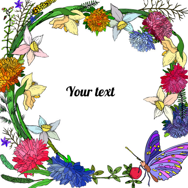 紫苑，水仙和蝴蝶的框架图片下载