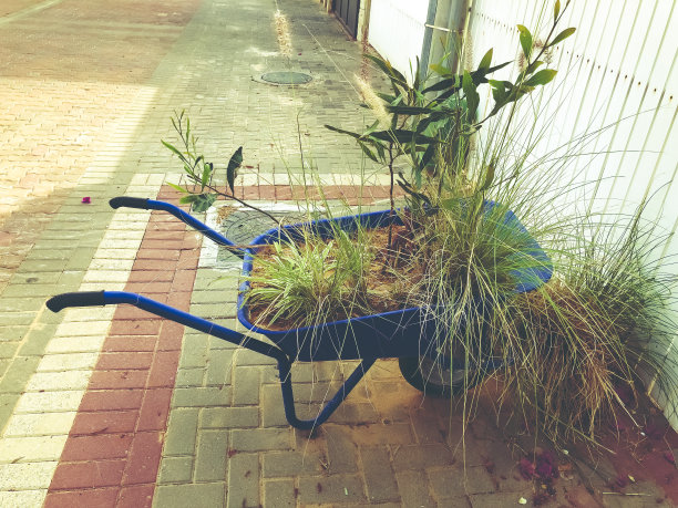 各种各样的花和植物放在蓝色的独轮手推车附近的篱笆在街道上图片下载