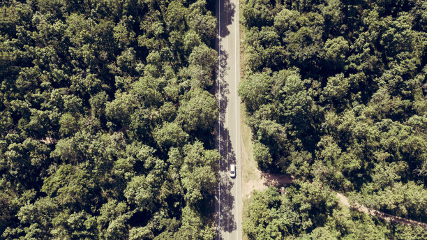 从无人机俯瞰森林中的道路图片下载