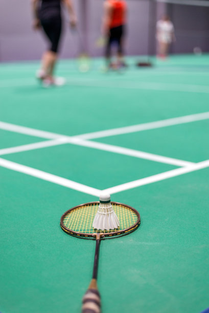 球场上的羽毛球、羽毛球和球拍。图片下载