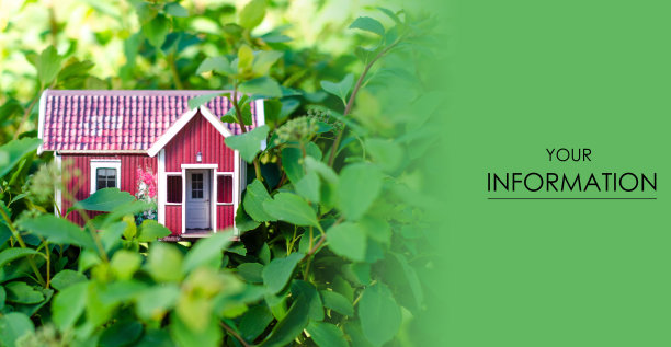 小房子太阳叶子植物绿色的自然格局图片下载