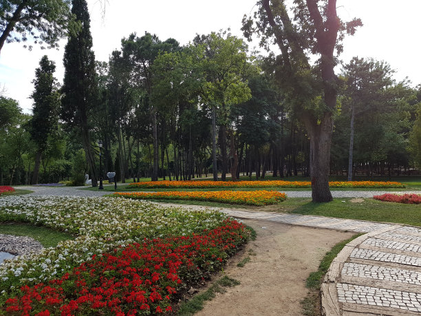 天与自然图片下载