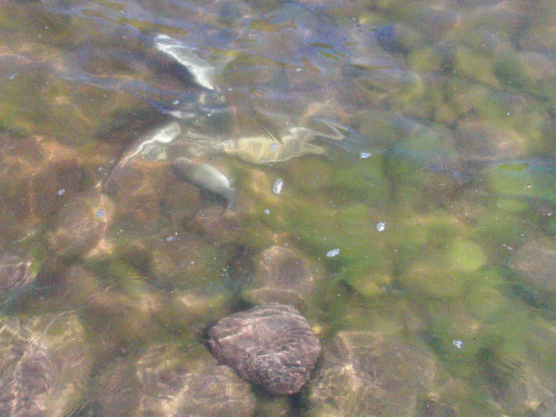 好钓鱼的一天图片下载