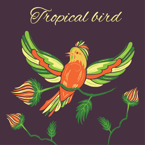 橙色热带鸟类，深色背景上有花图片下载