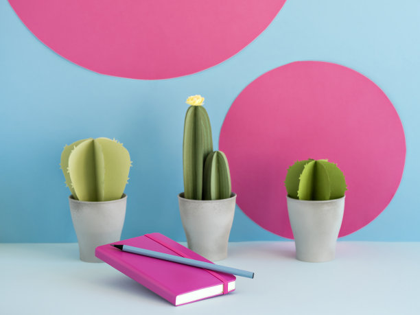 笔记本和躺在仙人掌旁边的铅笔。图片下载