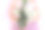 小女孩拿着花，特写图片下载