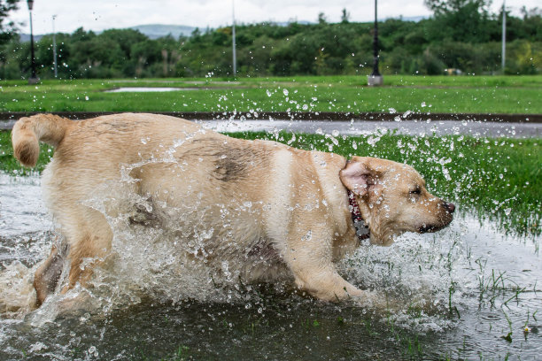 农夫和池塘图片下载