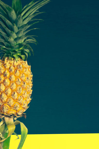 成熟的菠萝图片下载