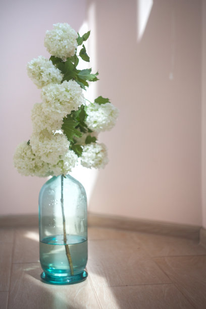 复古的家居装饰，白色的花朵装在蓝色的玻璃瓶地板上图片下载
