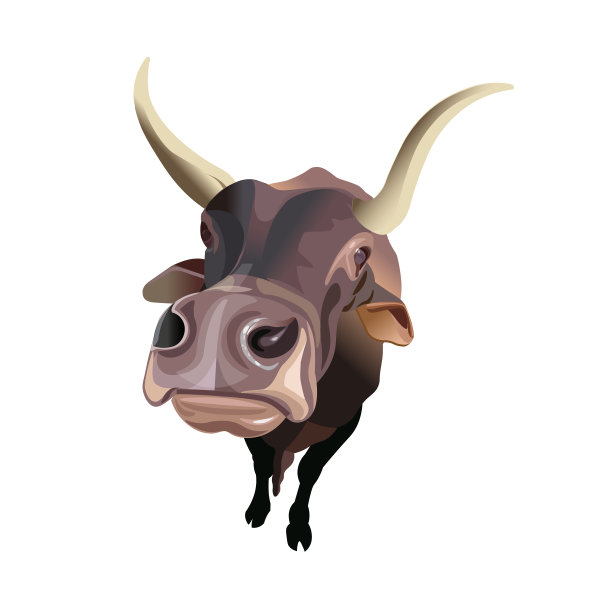 牛的广角视图图片下载