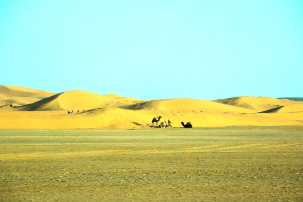 摩洛哥撒哈拉沙漠美丽的沙丘图片下载