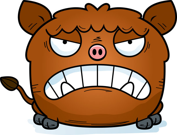 愤怒的小公猪图片下载