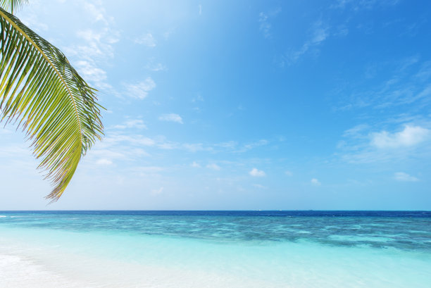 夏季热带海洋背景图片下载