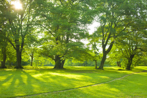 公园路图片下载