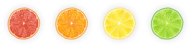 逼真3D橙子西柚柠檬酸橙切片矢量图图片下载