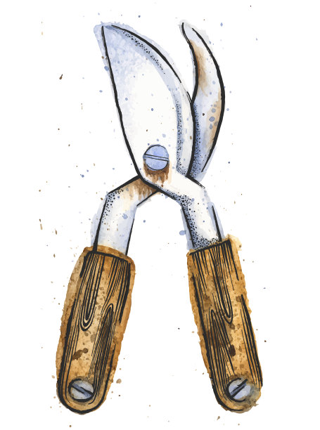 园艺剪水彩和墨水画图片下载