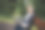 一张美丽的年轻女子坐在户外公园里的照片。用笔记本电脑戴着耳机听音乐。图片下载