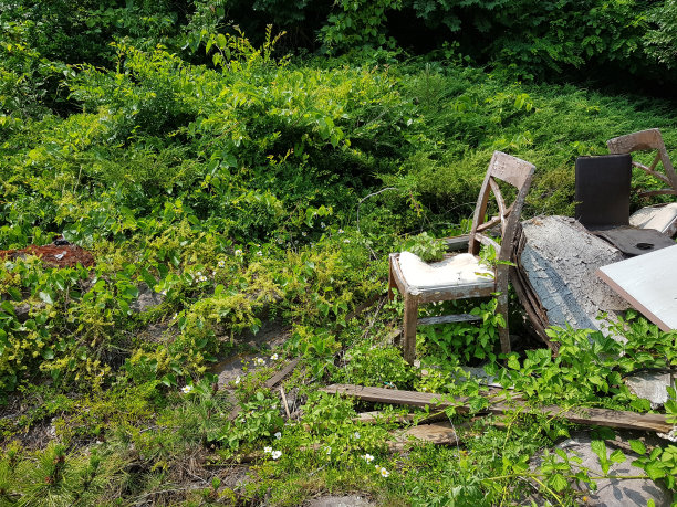 绿色的椅子图片下载