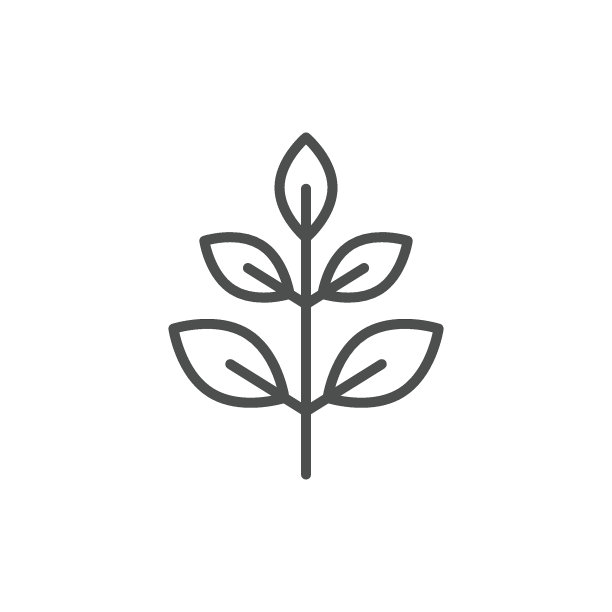 树叶线条图标图片下载