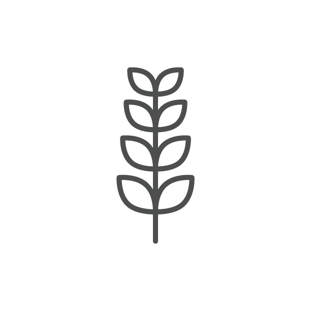 树叶线条图标图片下载