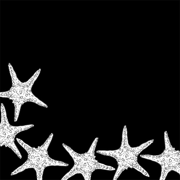 贝壳背景边界图片下载