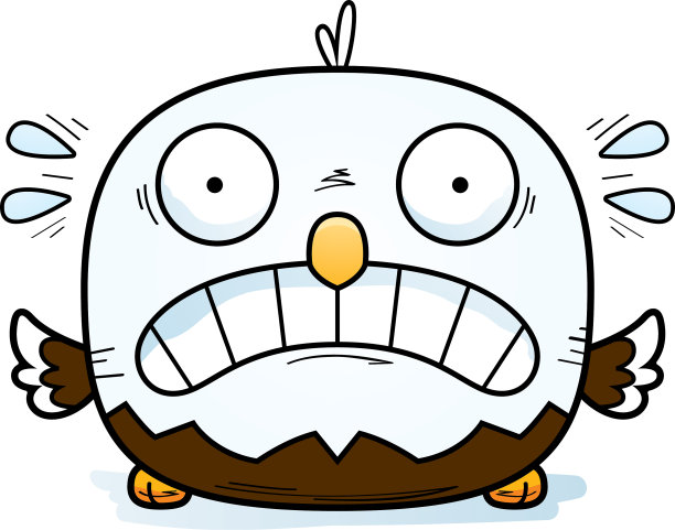 害怕的小秃鹰图片下载