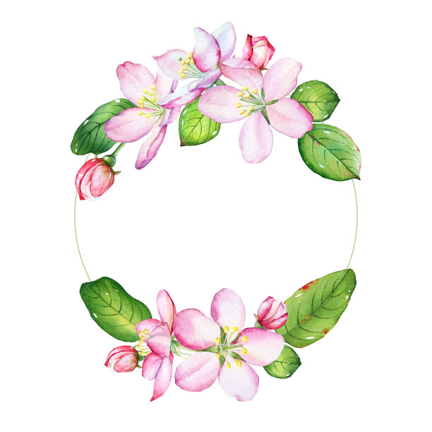 花框架与水彩苹果花和绿叶图片下载