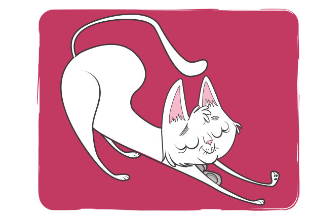 白色的猫图片下载