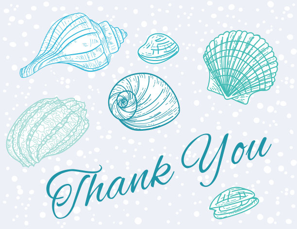 贝壳背景谢谢你卡图片下载