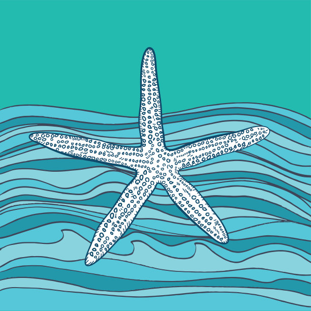 手绘海星图片下载