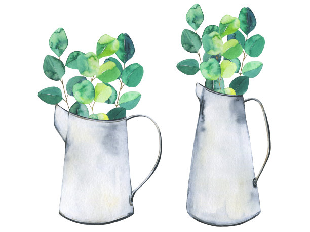 放置金属罐和桉树图片下载