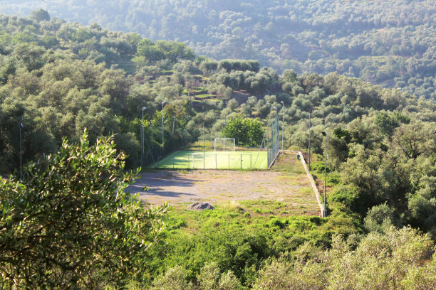 在潘帕斯森林的丰田足球场图片下载