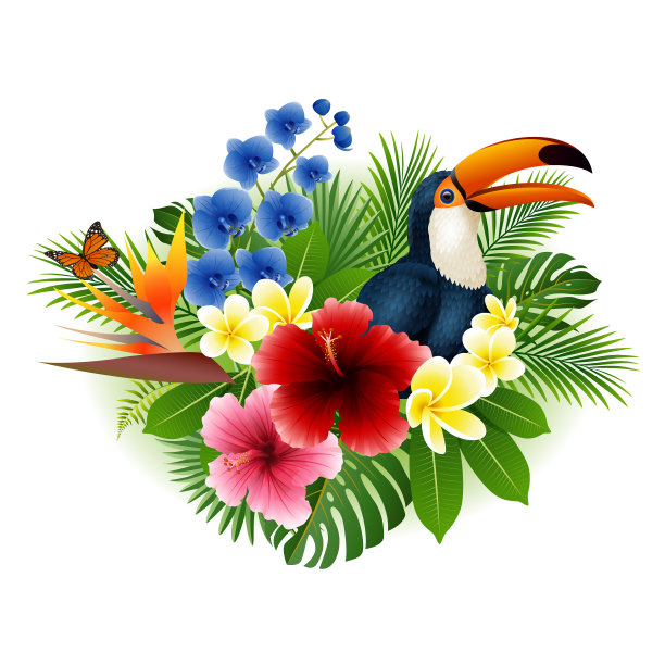 卡通巨嘴鸟和蝴蝶与花和叶子的背景图片下载