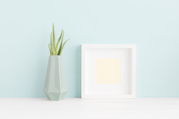 书架上放着相框和芦荟植物。图片下载